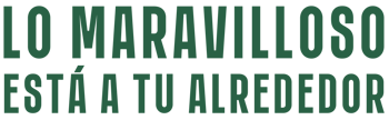 frase 1920x1080px 2